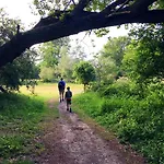 Basic Little House Scheveningen